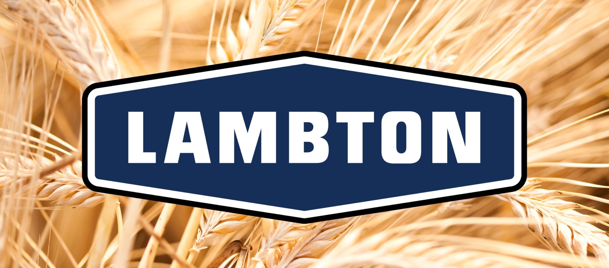Lambton rebrand